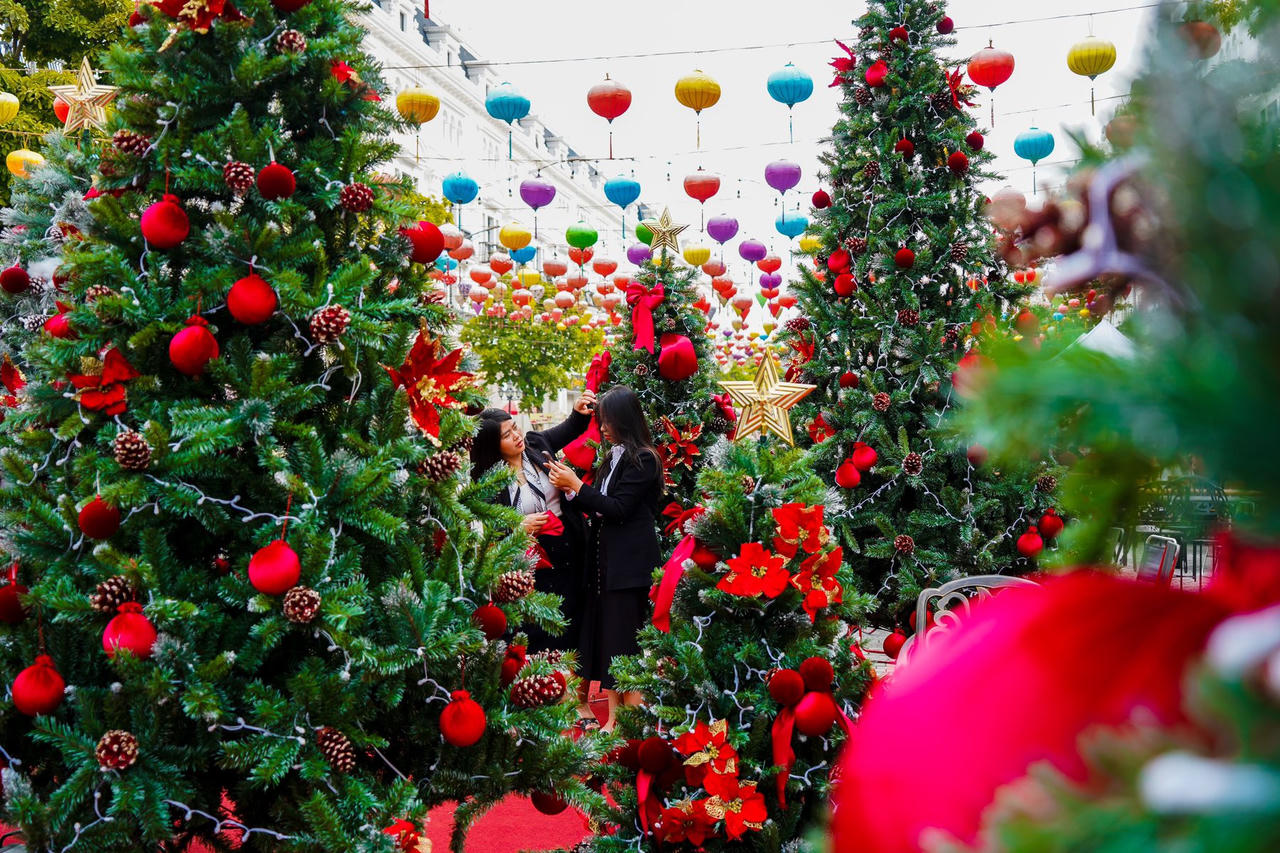 Danko City - Rộn ràng không khí Giáng sinh với vườn thông khổng lồ đẹp như cổ tích