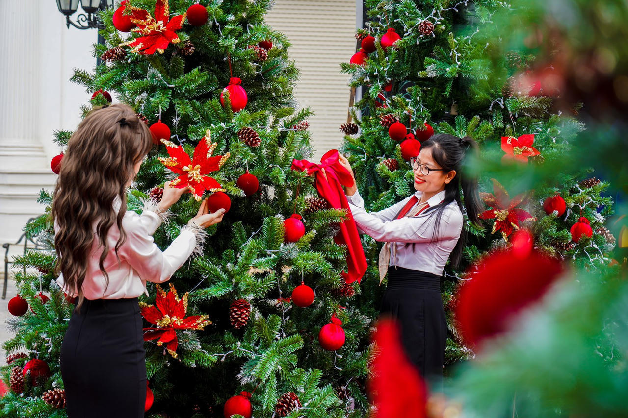 Danko City - Rộn ràng không khí Giáng sinh với vườn thông khổng lồ đẹp như cổ tích