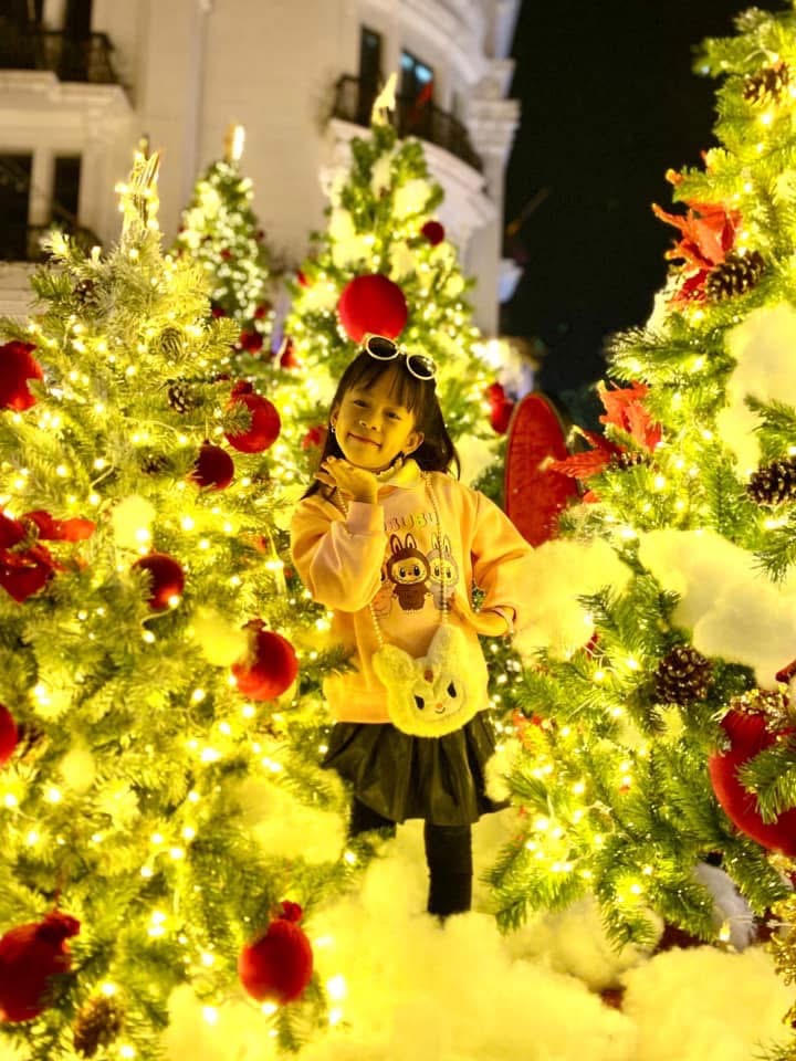 Danko City - Rộn ràng không khí Giáng sinh với vườn thông khổng lồ đẹp như cổ tích