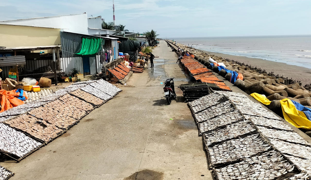 Người dân Gành Hào tất bật làm cá khô để phục vụ thị trường Tết