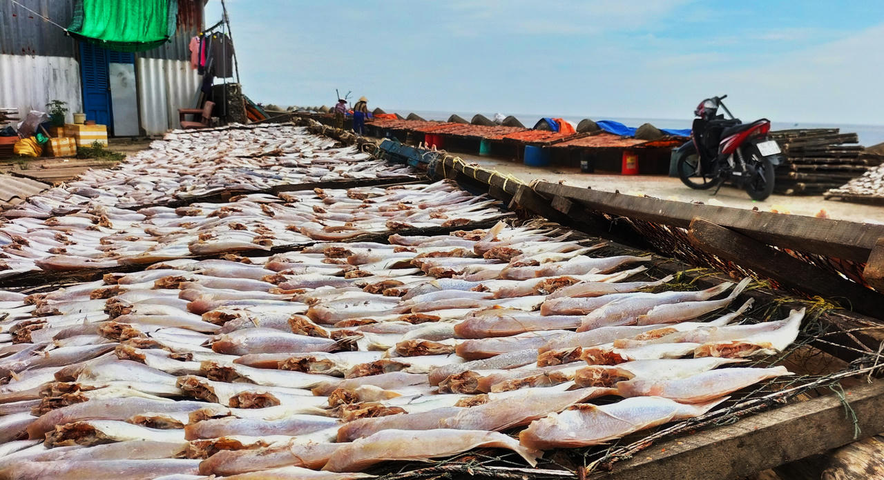 Người dân Gành Hào tất bật làm cá khô để phục vụ thị trường Tết