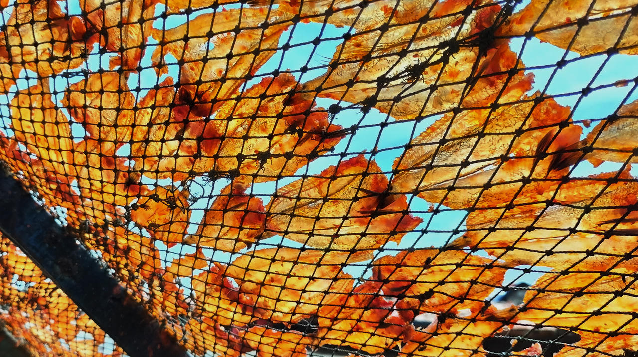 Người dân Gành Hào tất bật làm cá khô để phục vụ thị trường Tết