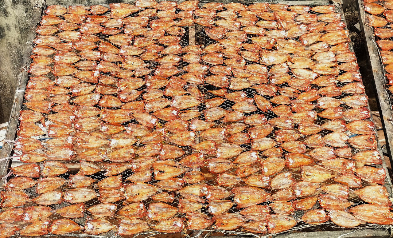 Người dân Gành Hào tất bật làm cá khô để phục vụ thị trường Tết