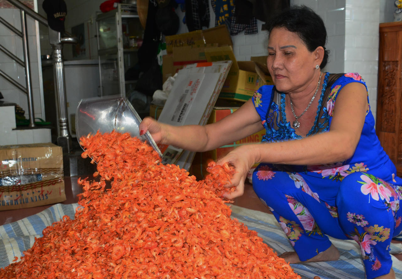 Giá tôm khô Cà Mau tăng mạnh, người làm tôm phấn khởi