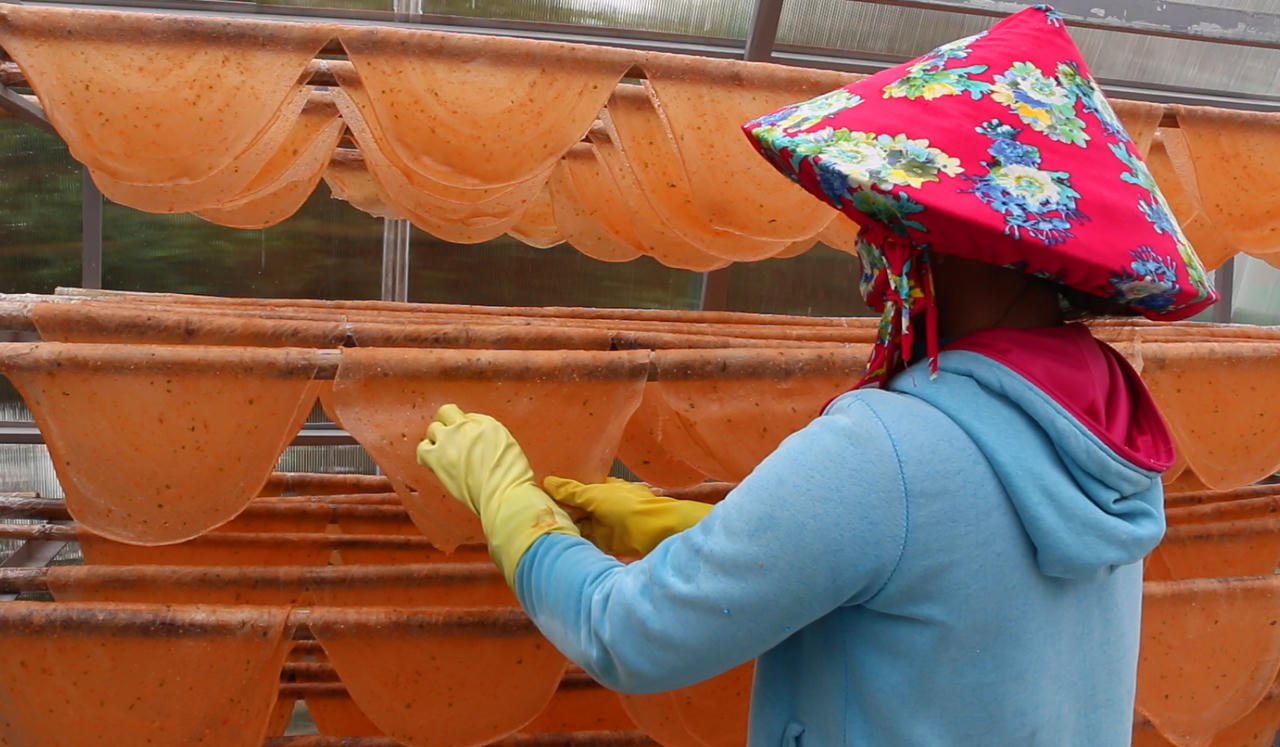 Giá tôm khô Cà Mau tăng mạnh, người làm tôm phấn khởi