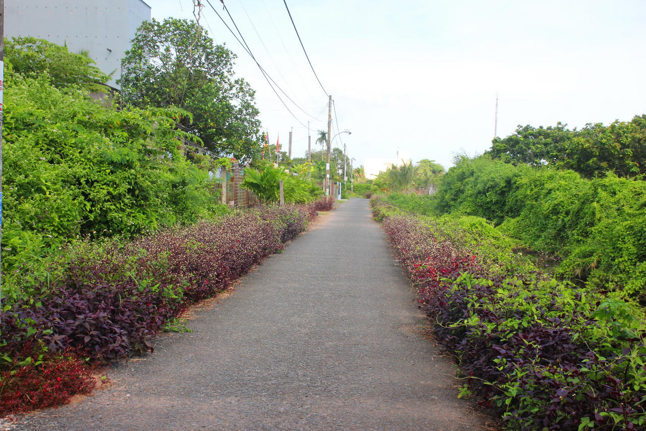 Về thăm khu vườn đặc sản nổi tiếng thơm ngon ở xứ Công tử Bạc Liêu 