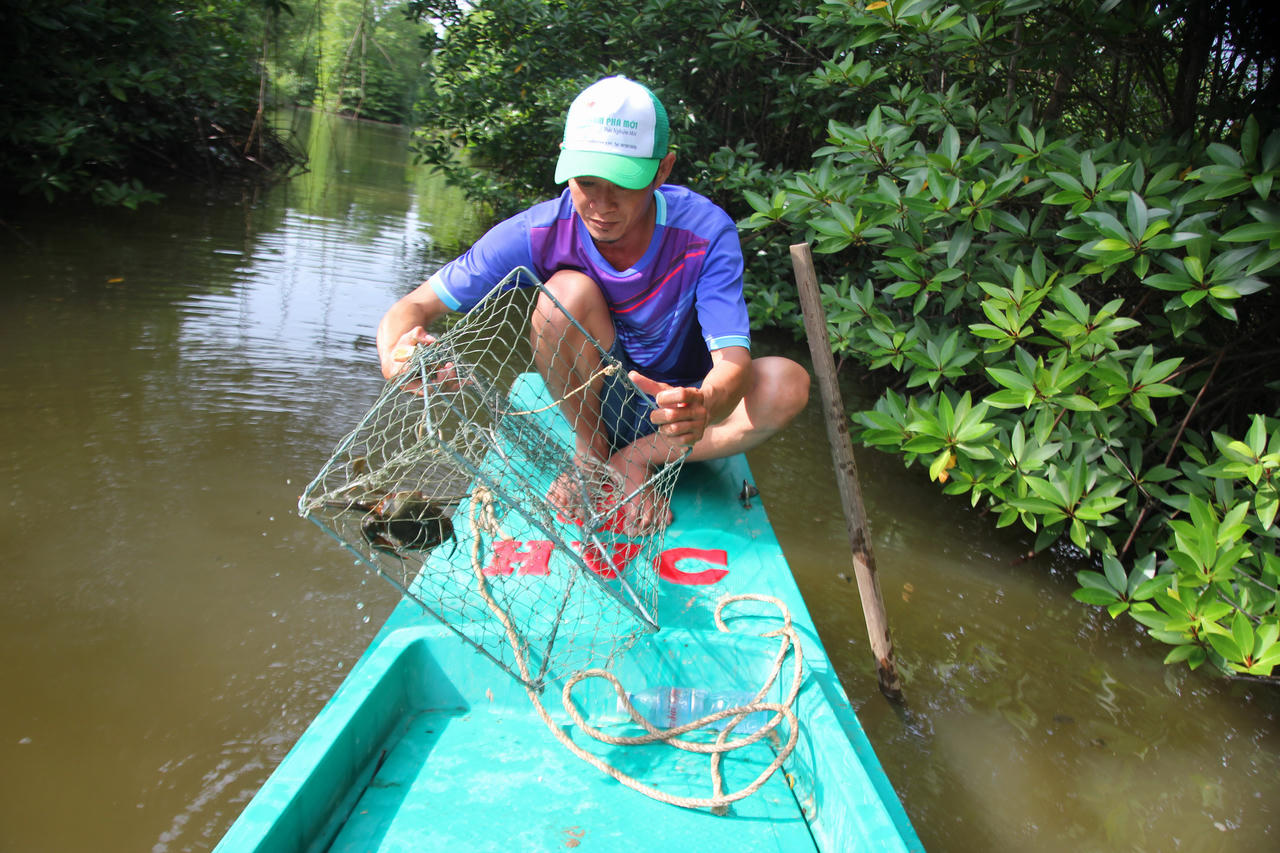 Ở nơi “đất biết nở, rừng biết đi và biển sinh sôi"