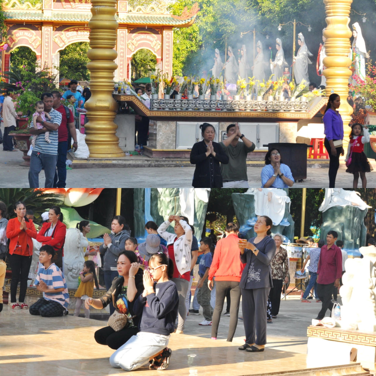 Du lịch Cà Mau – Bạc Liêu khởi sắc 