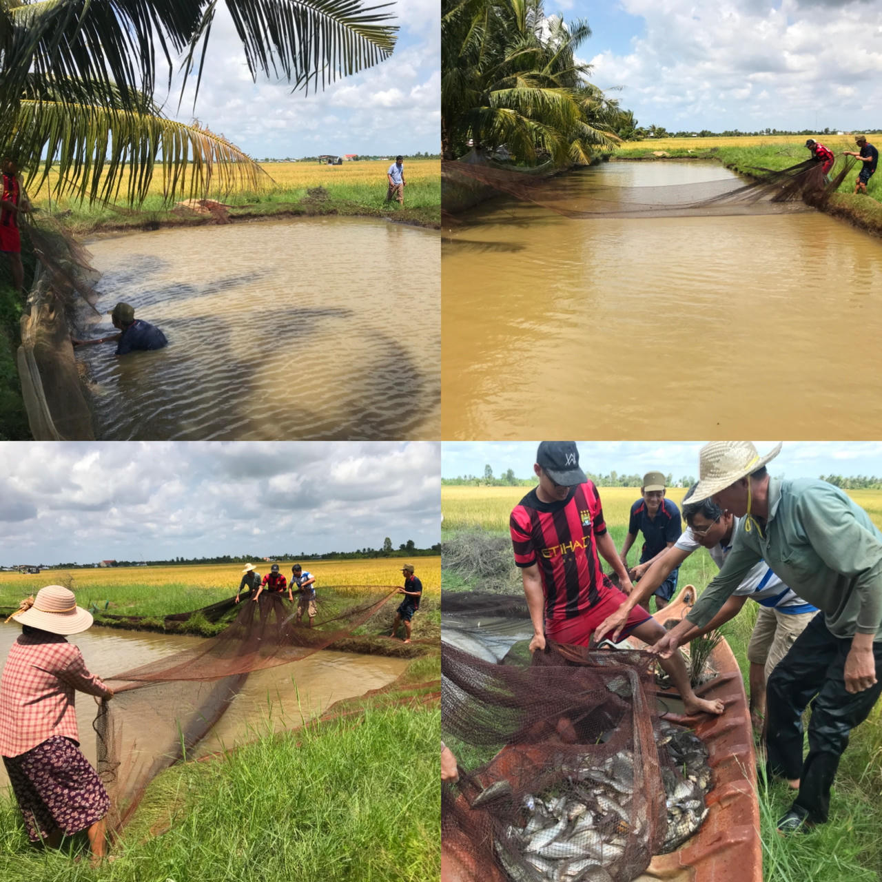 Chụp đìa bắt cá - nét văn hóa đặc thù của nông dân Cà Mau 
