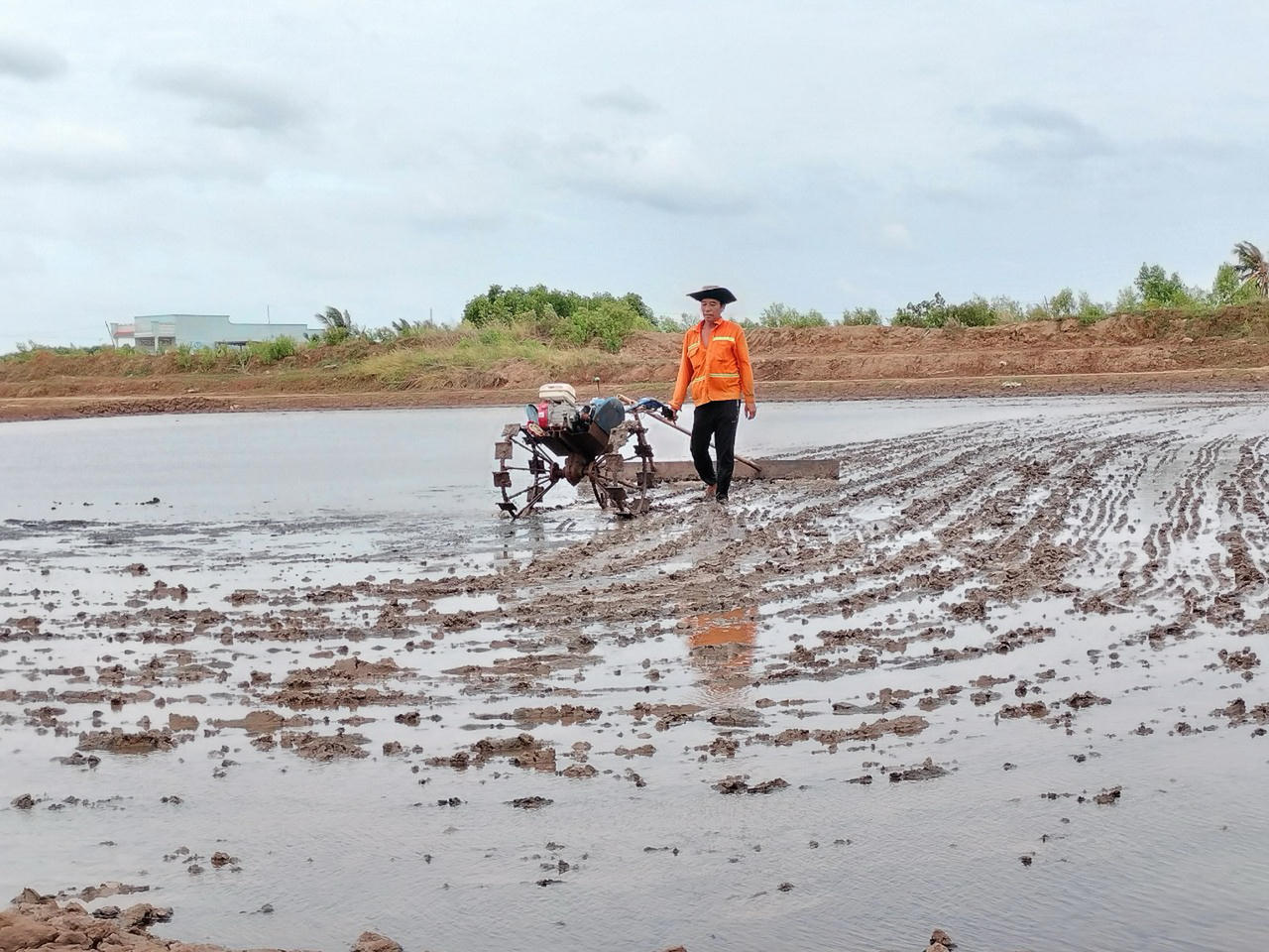 Mưa trái mùa - Diêm dân Bạc Liêu khốn đốn