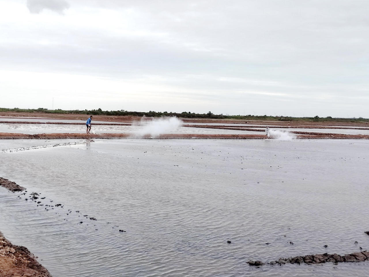 Mưa trái mùa - Diêm dân Bạc Liêu khốn đốn