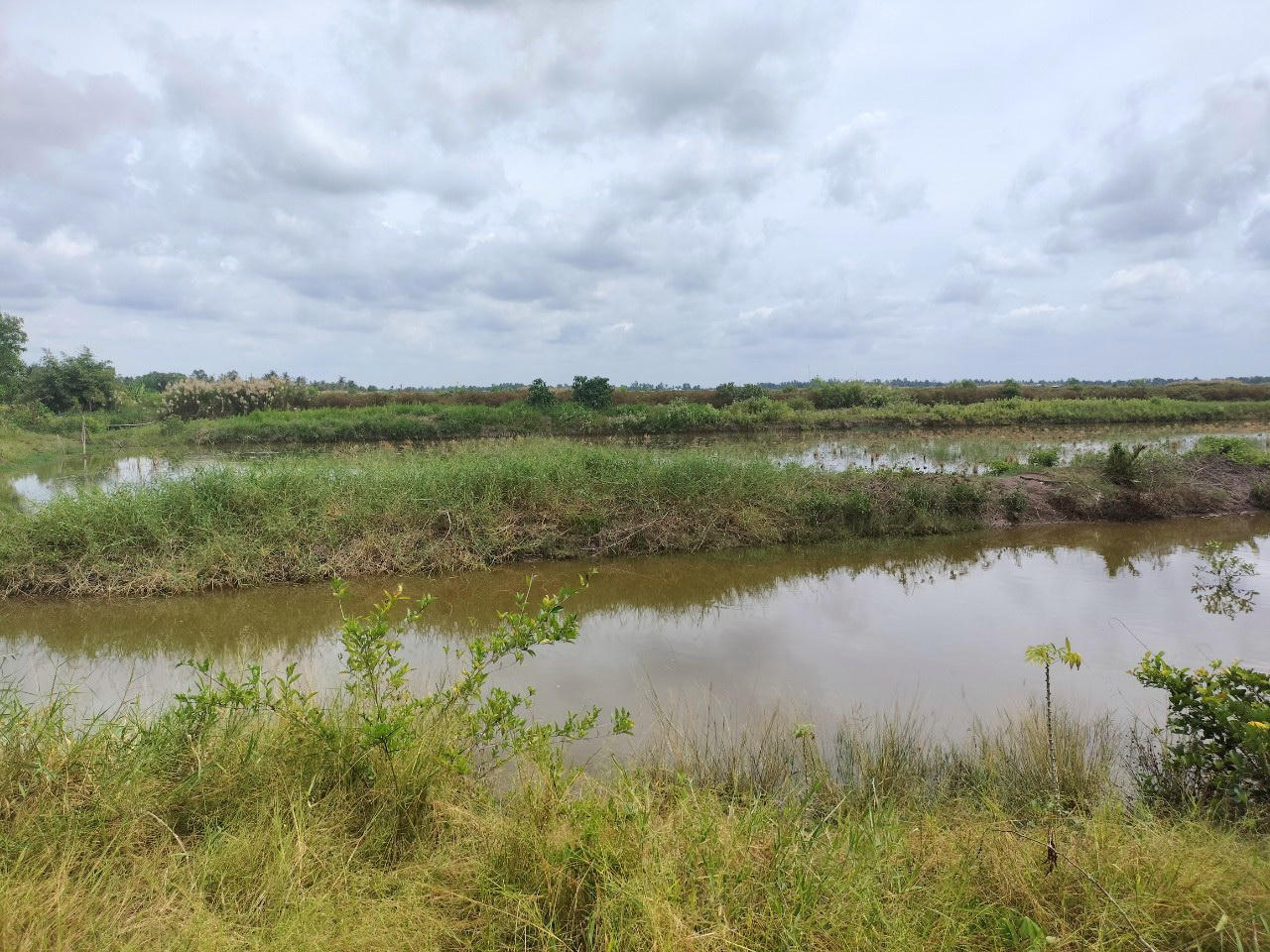 Dự án đê biển Tây Cà Mau chưa thông tuyến