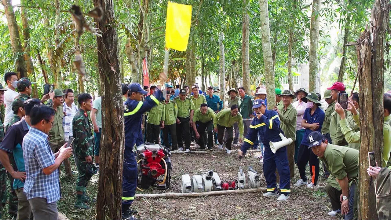 Cà Mau hướng đến phát triển lâm nghiệp bền vững