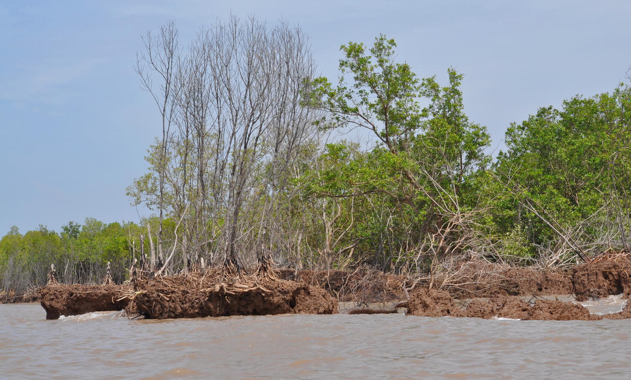 Bờ biển sạt lở đặc biệt nguy hiểm, Cà Mau xin hỗ trợ 970 tỷ đồng
