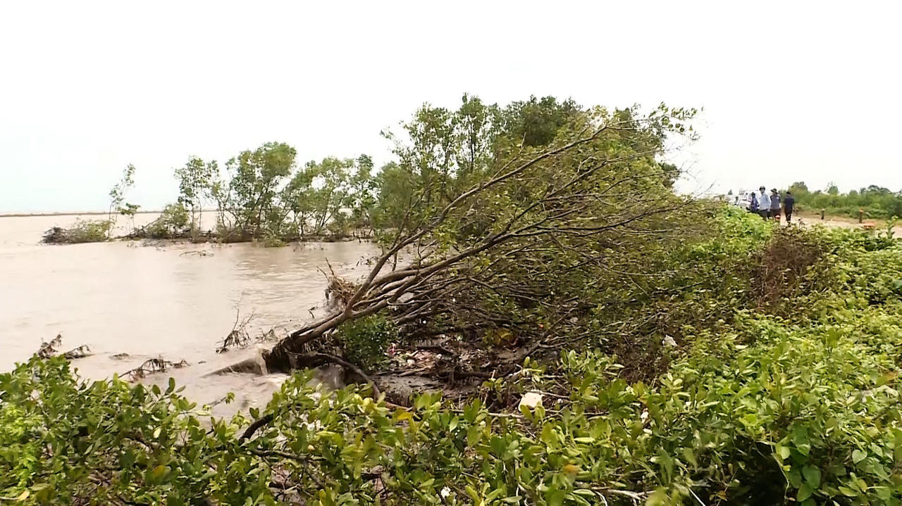 Bờ biển sạt lở đặc biệt nguy hiểm, Cà Mau xin hỗ trợ 970 tỷ đồng