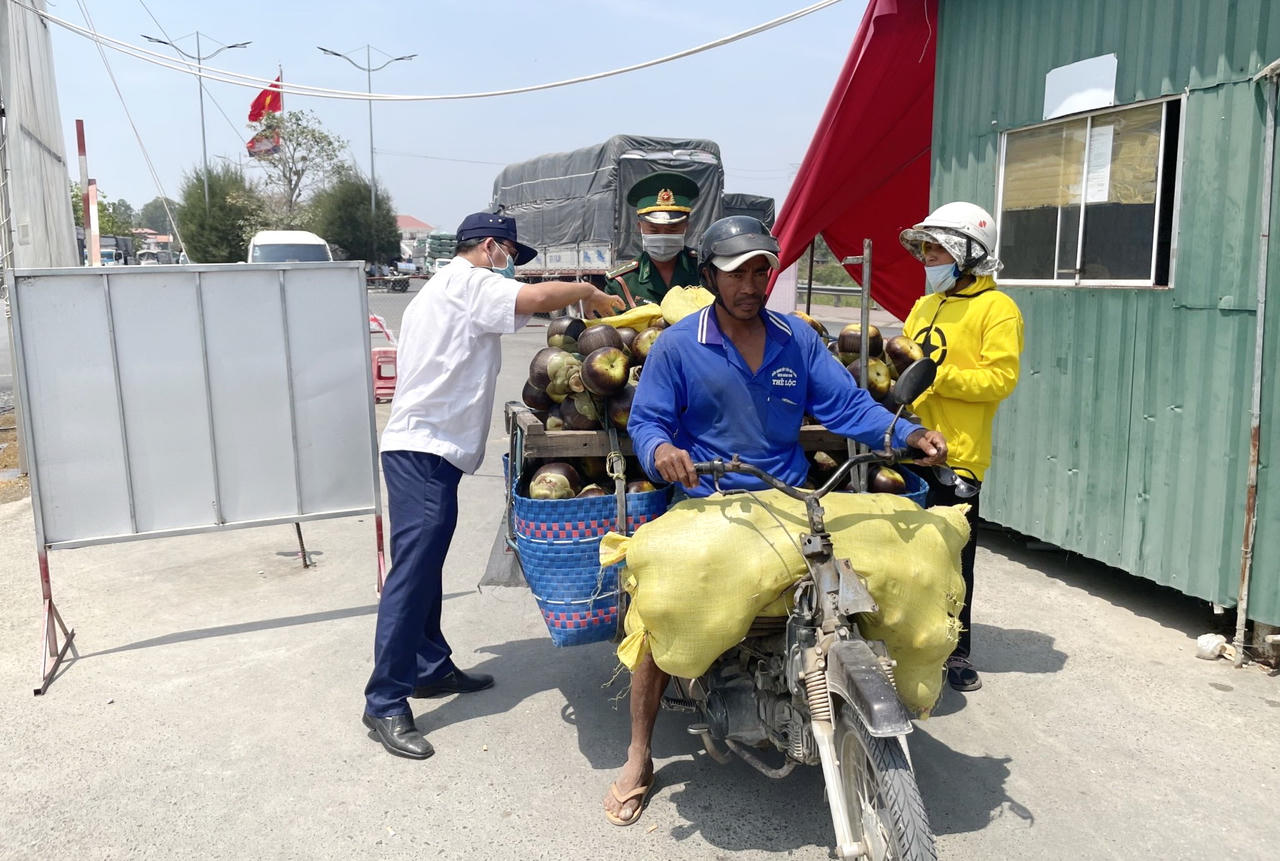 'Siết' kiểm soát, ngăn chặn dịch cúm A (H5N1) qua đường biên giới Tây Nam