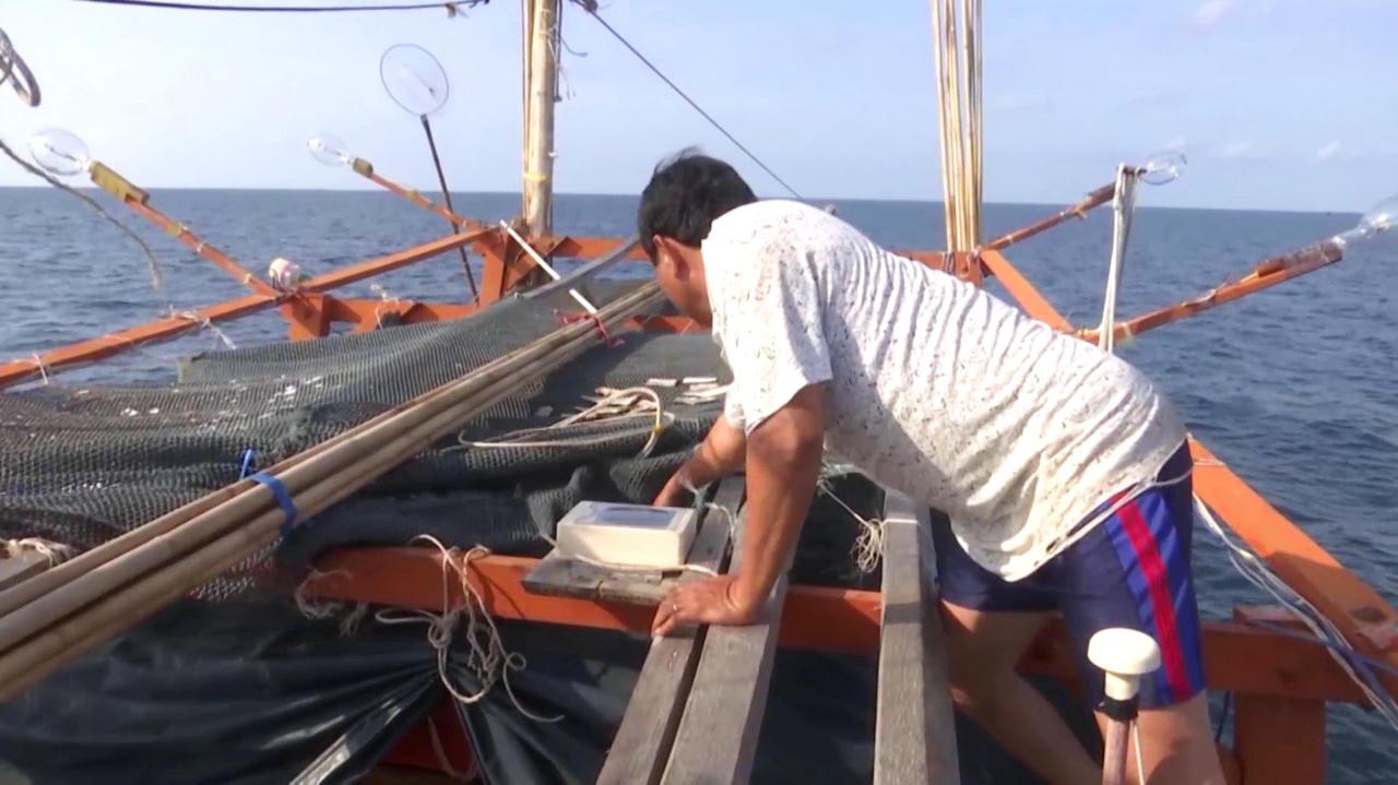 Cà Mau: Kiên quyết không cho tàu cá ra biển hoạt động khi không đủ điều kiện 