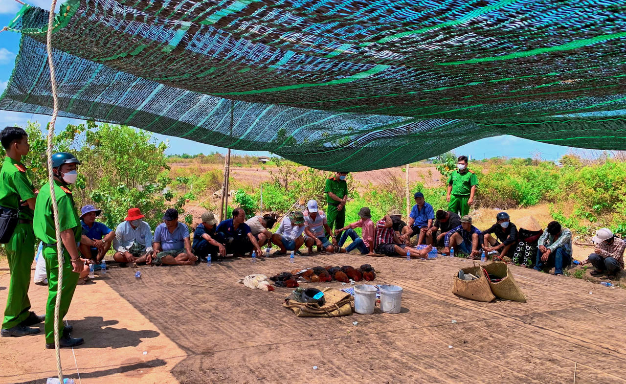 Phục kích 'ổ' đá gà ăn tiền có nhiều đối tượng nữ ở vùng quê Bạc Liêu