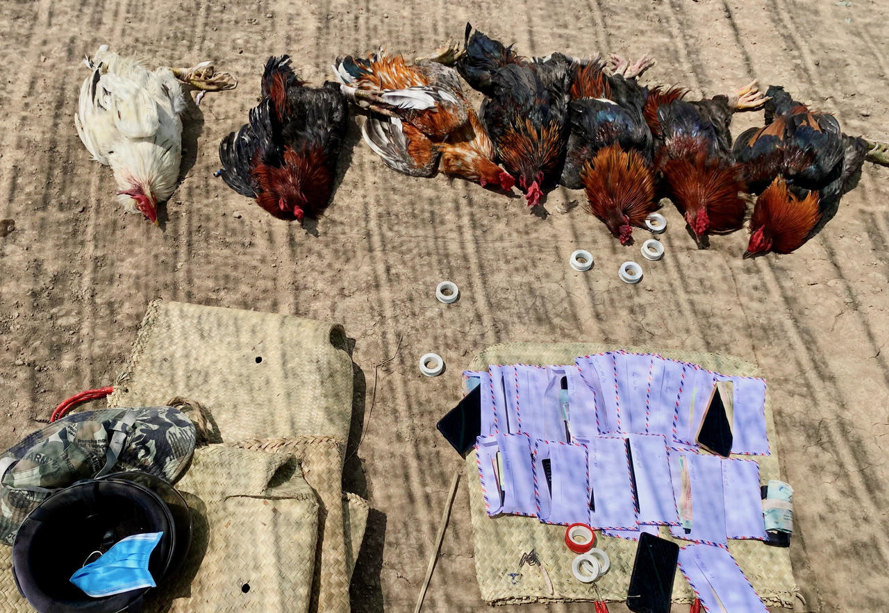 Phục kích 'ổ' đá gà ăn tiền có nhiều đối tượng nữ ở vùng quê Bạc Liêu