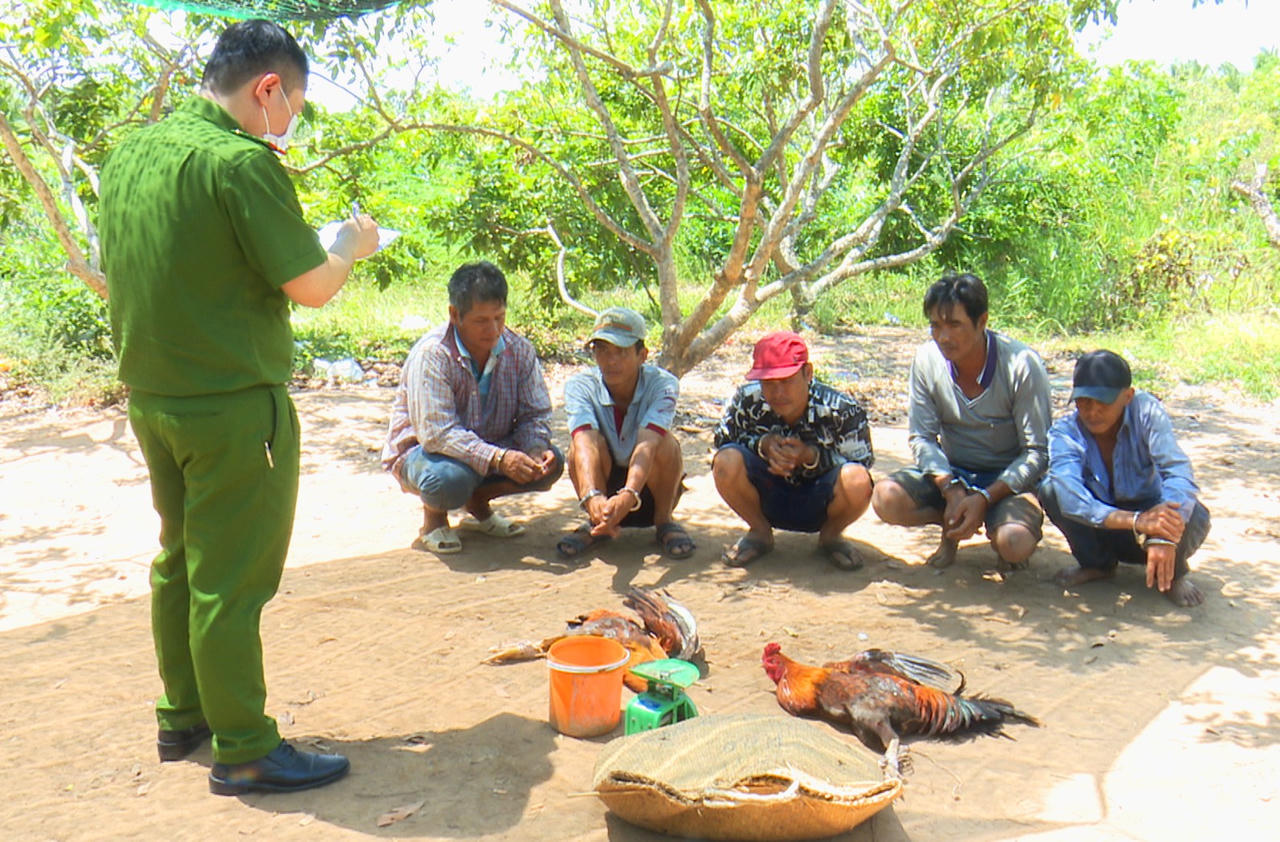 Phục kích bắt 5 đối tượng đá gà ăn tiền tại một khu đất trống