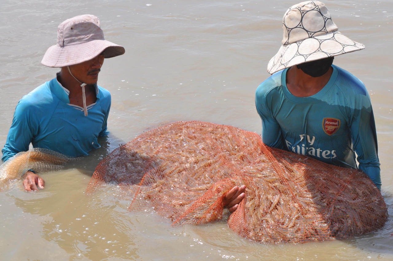 Cà Mau thông qua dự thảo Kế hoạch tổ chức Festival Tôm