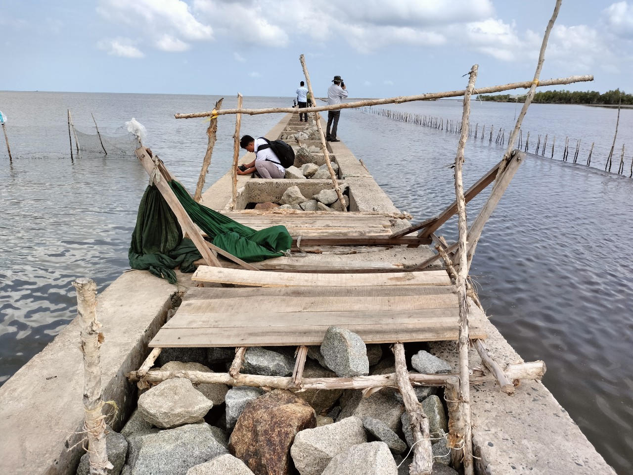 Chủ tịch tỉnh Cà Mau yêu cầu xử lý dứt điểm các hộ dân tự ý bao chiếm trên đất rừng phòng hộ