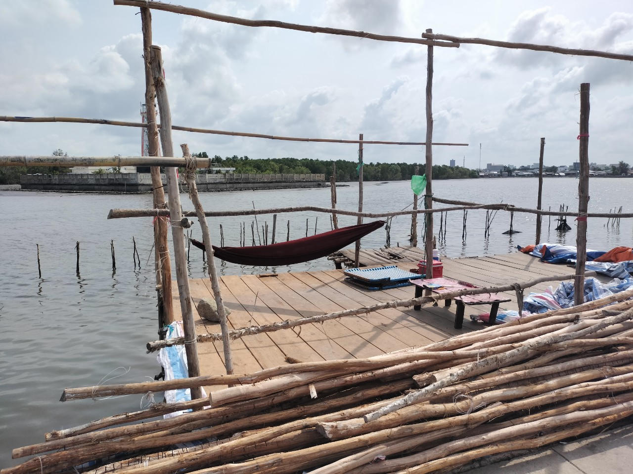 Chủ tịch tỉnh Cà Mau yêu cầu xử lý dứt điểm các hộ dân tự ý bao chiếm trên đất rừng phòng hộ