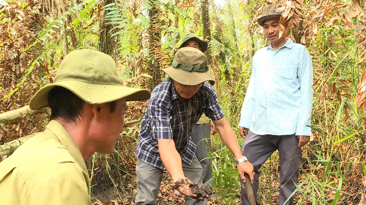 Cảnh báo nhiều diện tích rừng tràm ở Cà Mau nguy cơ cháy cấp cực kỳ nguy hiểm