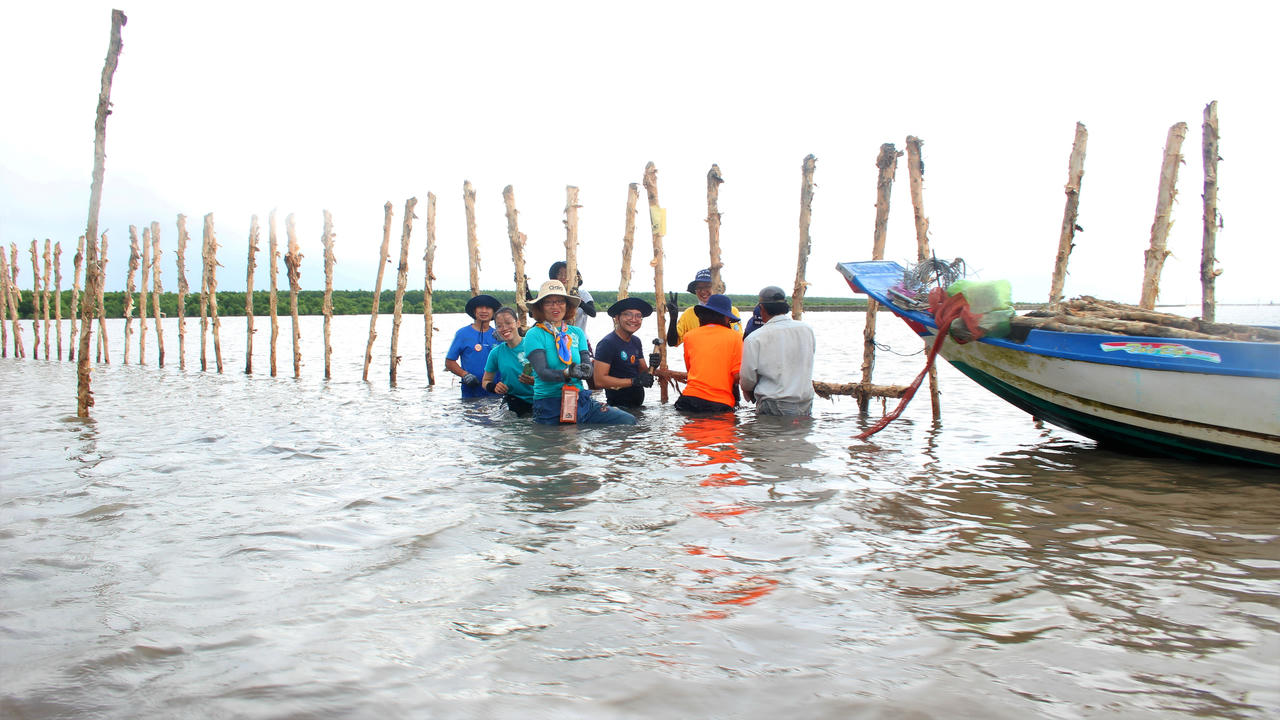 Cà Mau phê duyệt Đề án truyền thông về biến đổi khí hậu
