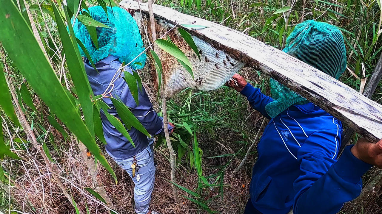 “Hương rừng U Minh" quảng bá, giới thiệu tiềm năng, thế mạnh các hoạt động văn hóa, thể thao, du lịch của địa phương