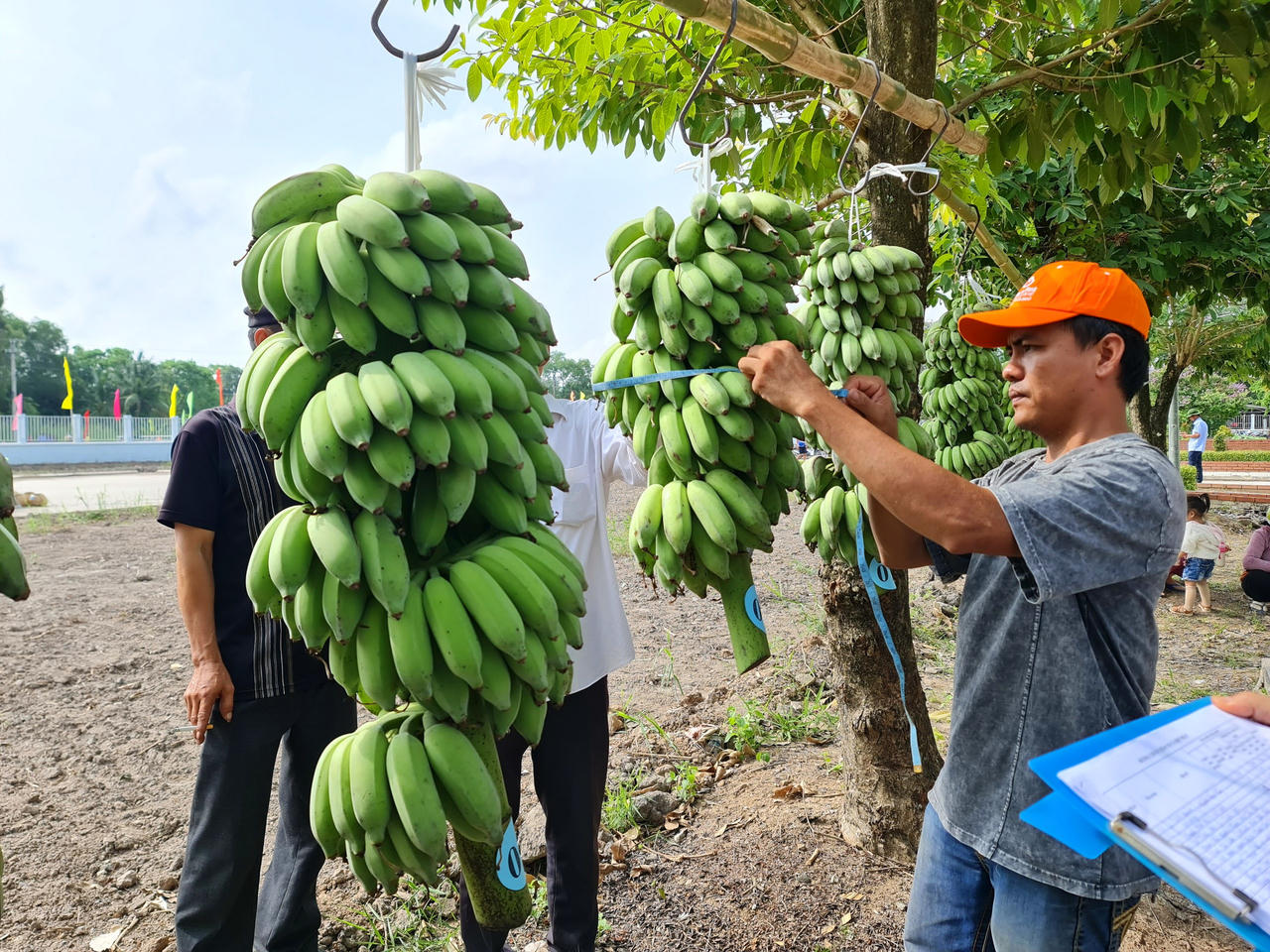 “Hương rừng U Minh" quảng bá, giới thiệu tiềm năng, thế mạnh các hoạt động văn hóa, thể thao, du lịch của địa phương