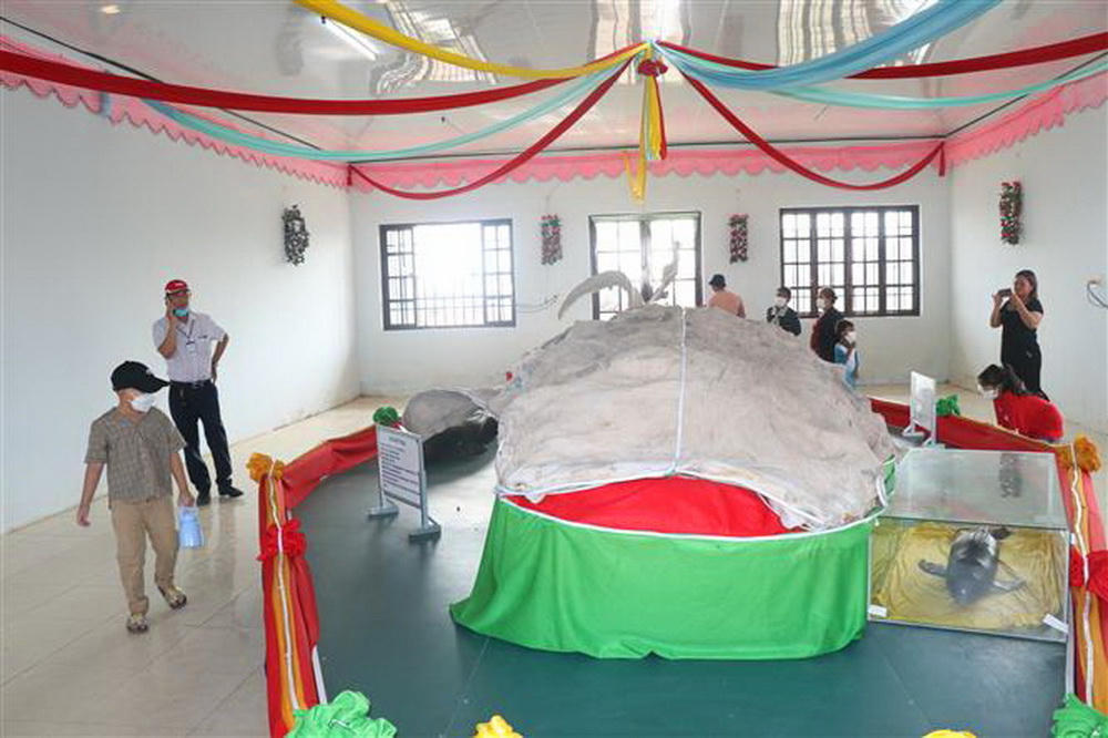 Bảo tồn văn hóa, tín ngưỡng lễ hội Nghinh Ông Nam Hải Bạc Liêu