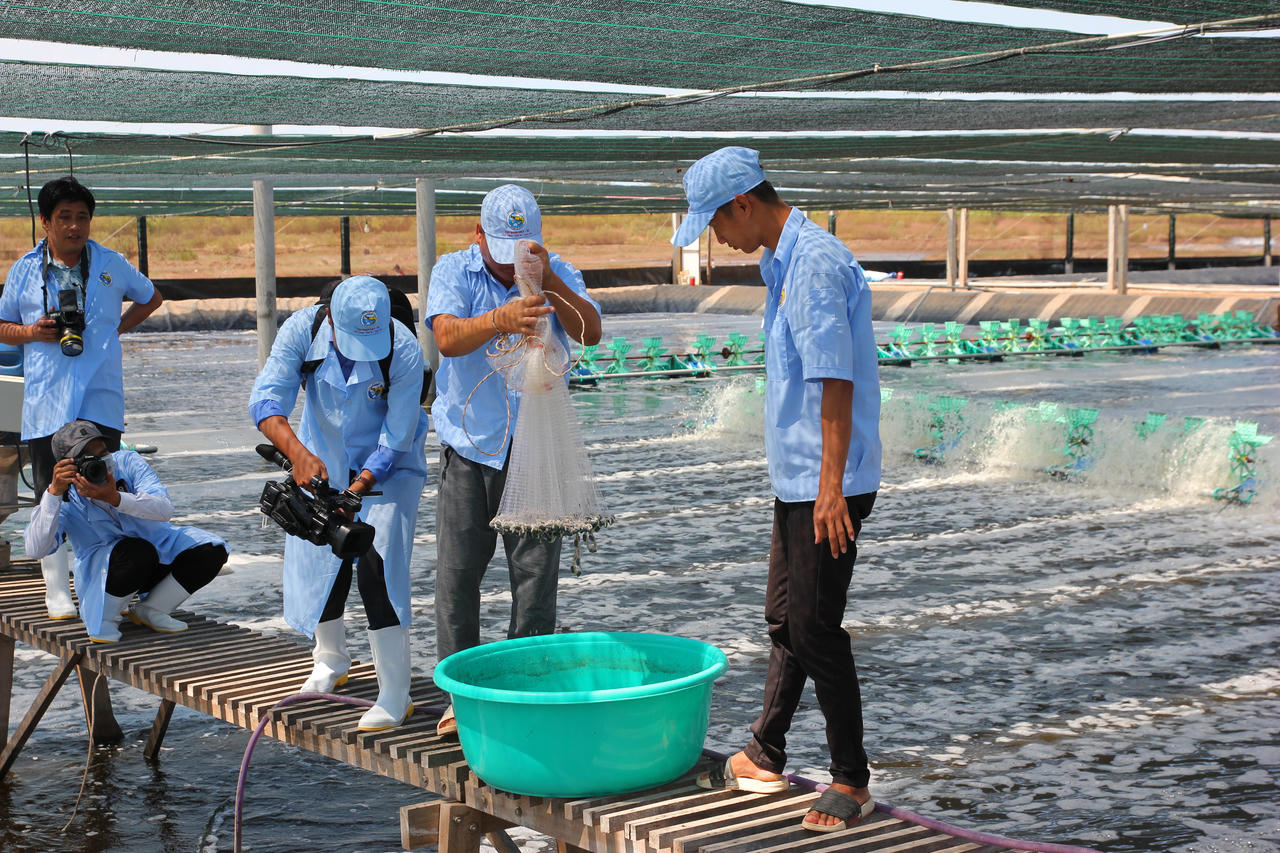 Bạc Liêu phát huy tiềm năng, lợi thế của ngành kinh tế mũi nhọn