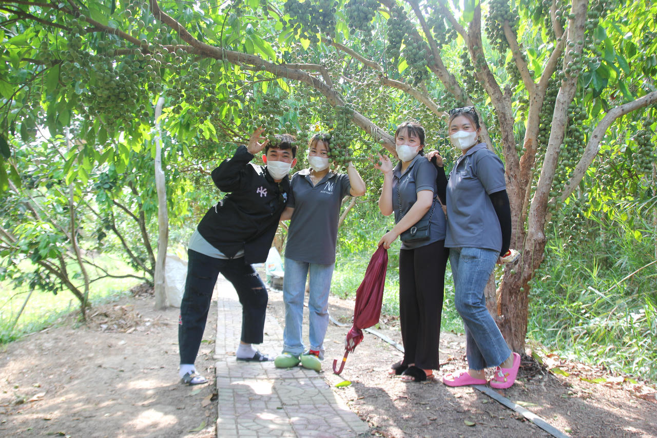 Bảo tồn vườn dâu Cái Tàu - U Minh để phát triển du lịch 