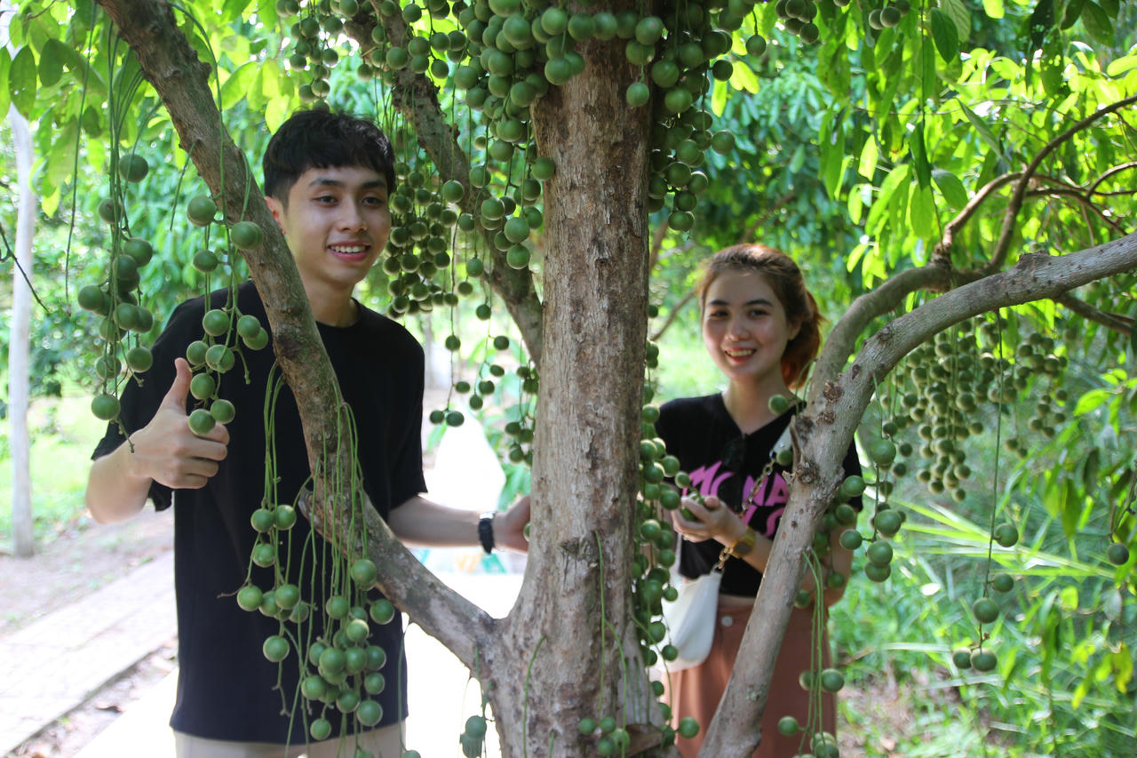 Bảo tồn vườn dâu Cái Tàu - U Minh để phát triển du lịch 