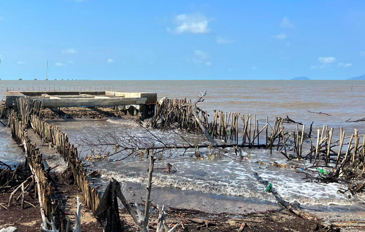 Cà Mau mong được hỗ trợ ứng phó biến đổi khí hậu và xuất khẩu cua chính ngạch