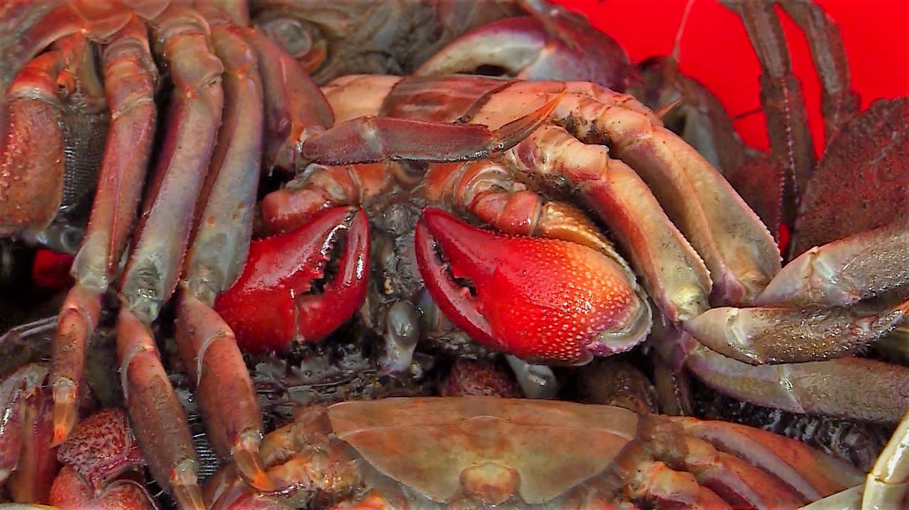 Bảo tồn và phát triển 15 làng nghề ở Cà Mau