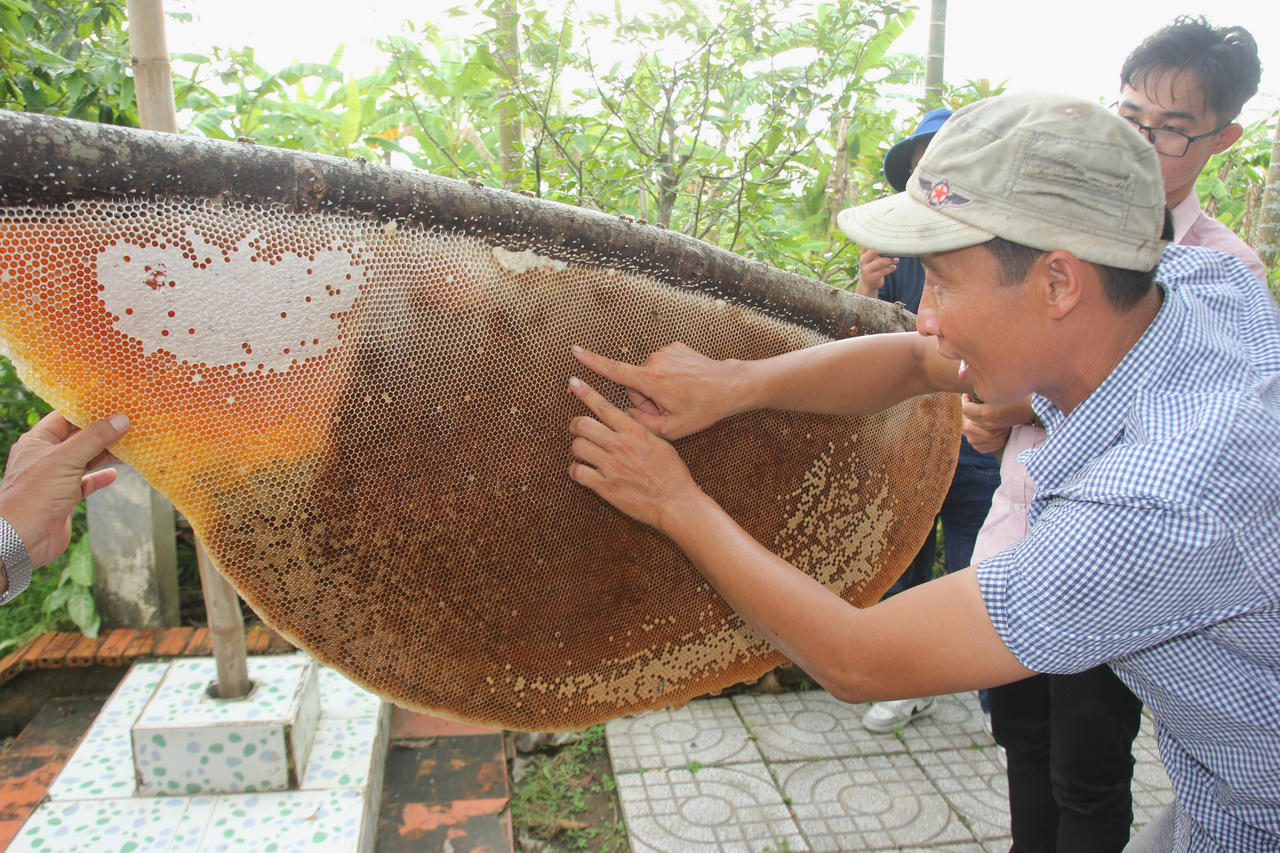 Về rừng U Minh Hạ thưởng thức thứ "lộc trời" ngọt lừ