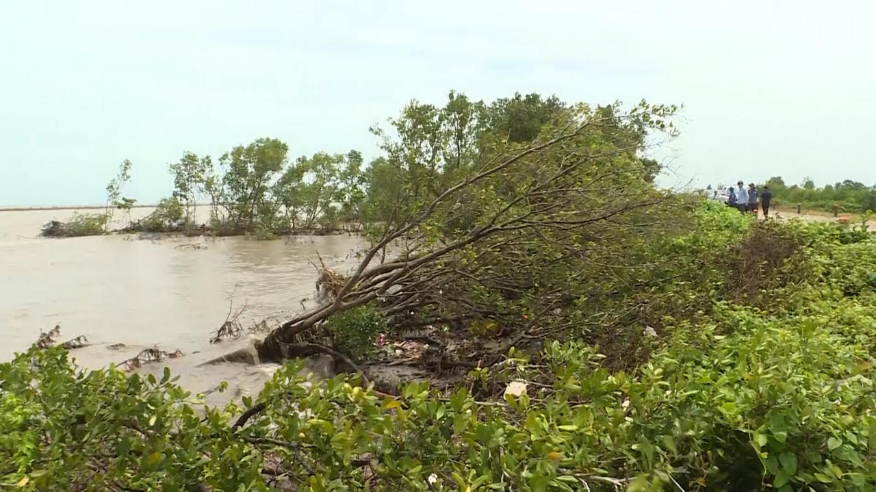 Phòng, chống sạt lở bờ sông, bờ biển: Cà Mau kiến nghị hỗ trợ 9.185 tỷ đồng 
