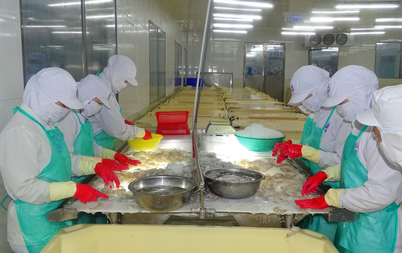 Cà Mau cam kết đảm bảo chất lượng nguồn nguyên liệu chế biến xuất khẩu