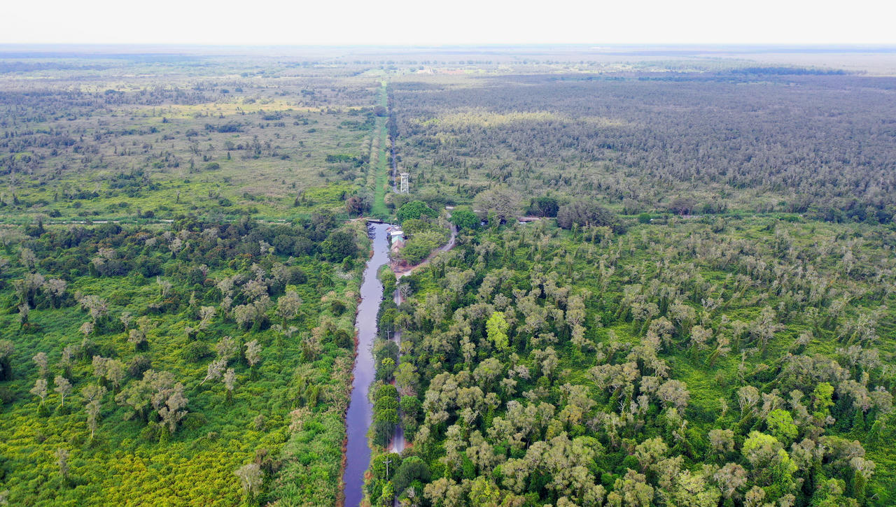 Vực dậy tiềm năng Vườn Quốc gia U Minh Hạ để phát triển du lịch 