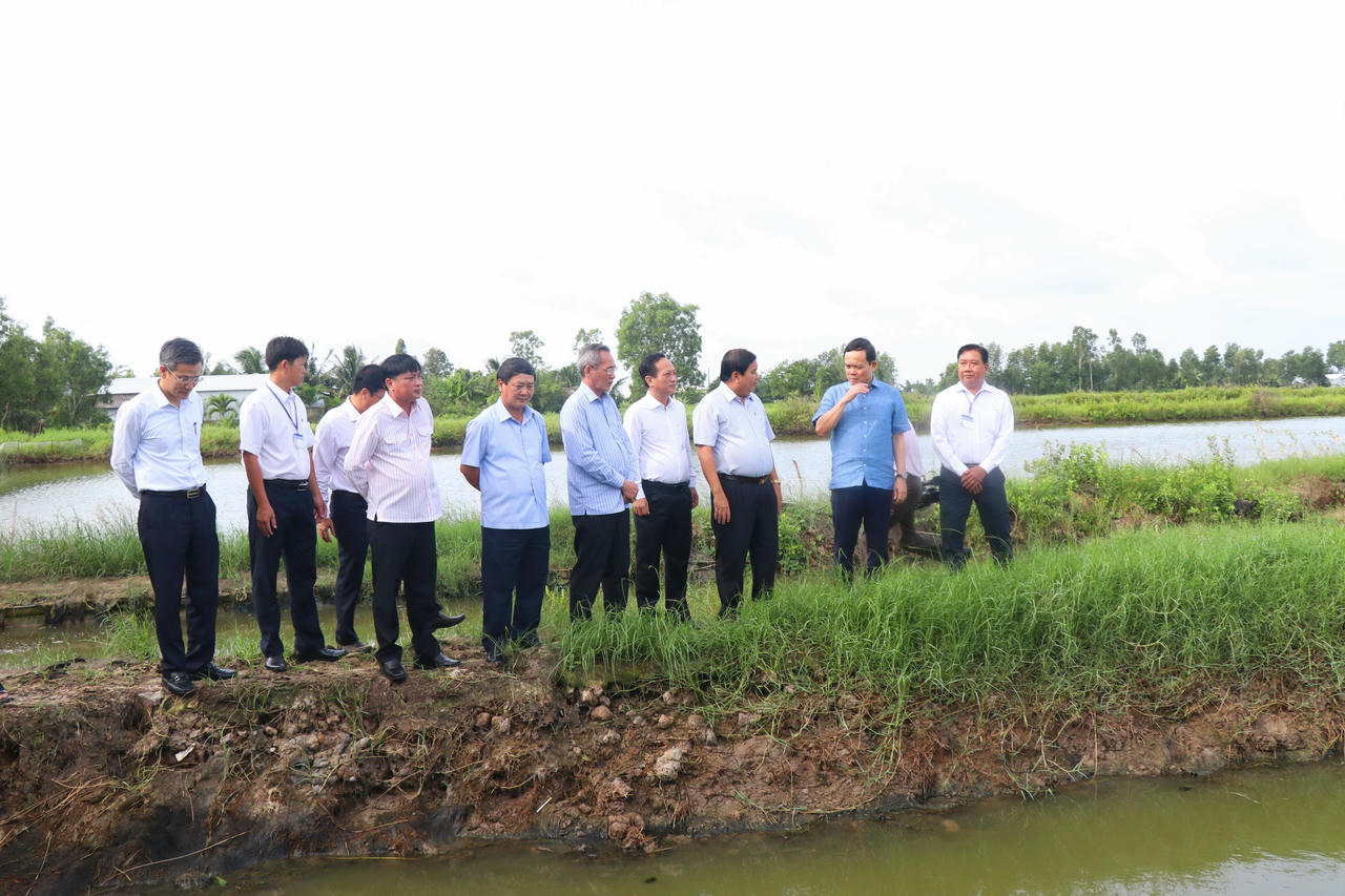 Nâng cao hiệu quả mô hình sản xuất ở Bạc Liêu nhờ lồng ghép các Chương trình mục tiêu quốc gia 