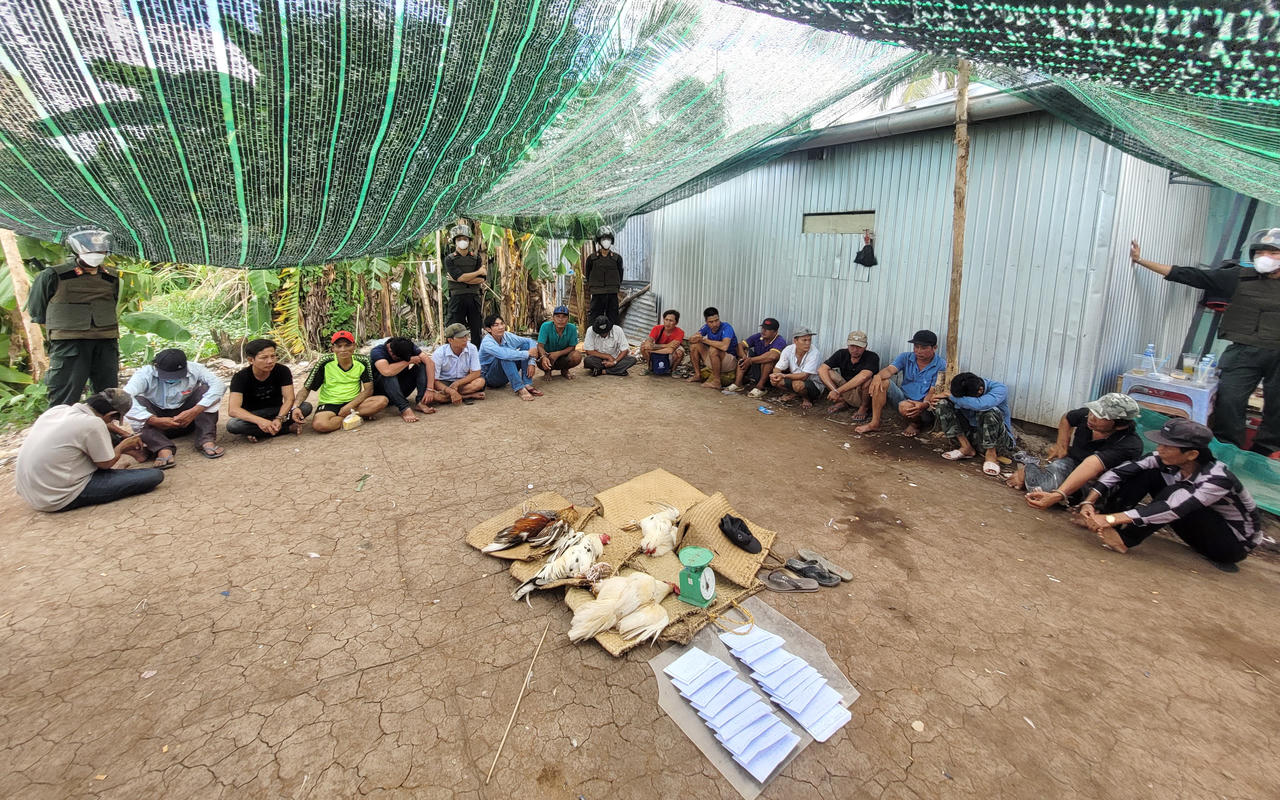 Triệt xóa điểm 'đá gà ăn tiền' ở Bạc Liêu