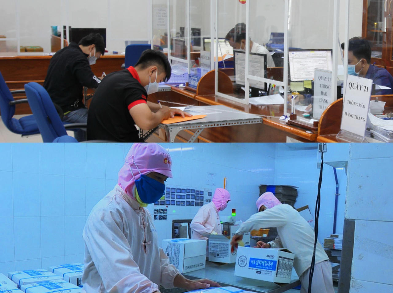 Cà Mau triển khai các giải pháp để cải thiện chỉ số PCI 