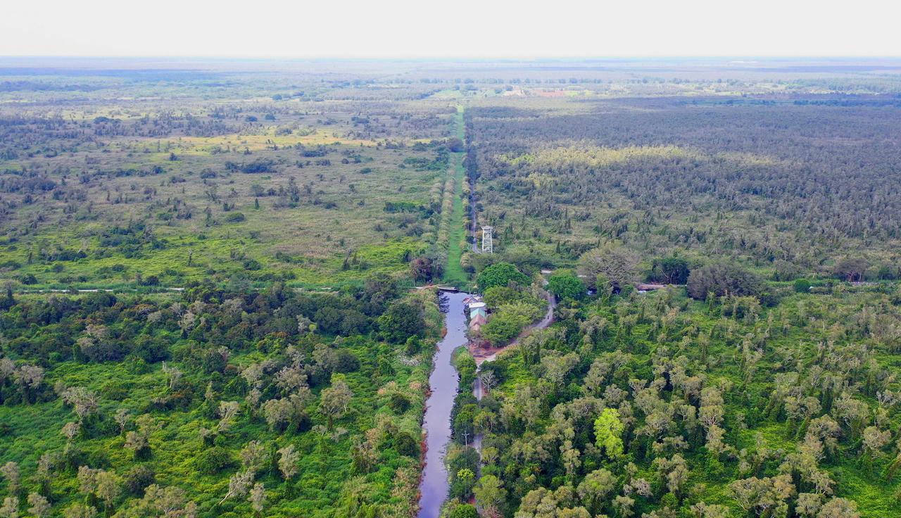 1.400 tỷ đồng cho đề án du lịch sinh thái, nghỉ dưỡng Vườn Quốc gia U Minh Hạ