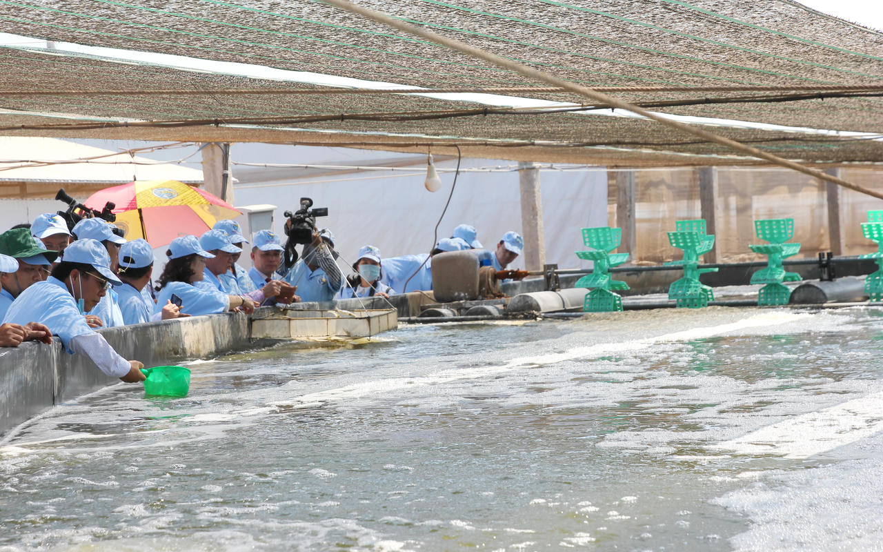 Kinh tế Bạc Liêu tăng trưởng thứ 3 vùng ĐBSCL