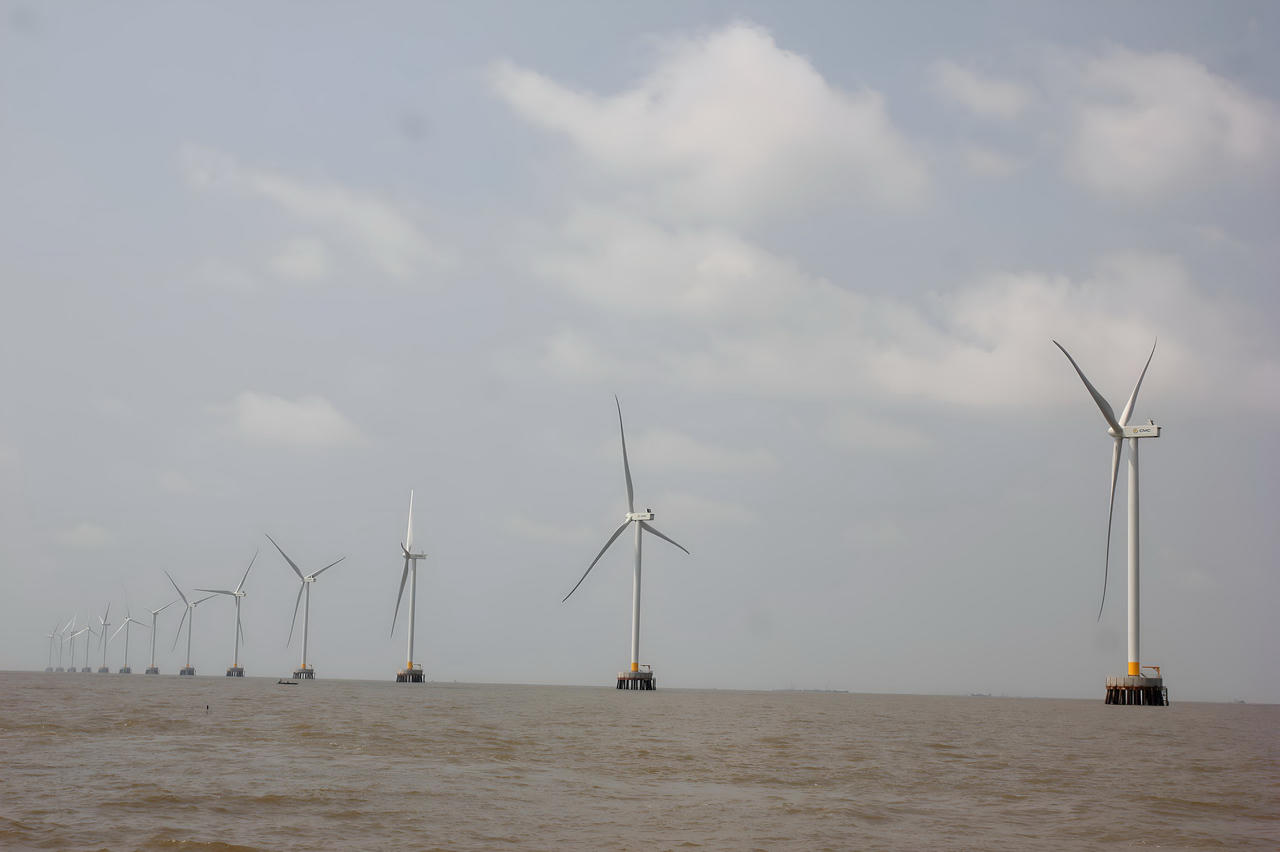 Cà Mau bứt phá trong phát triển năng lượng tái tạo