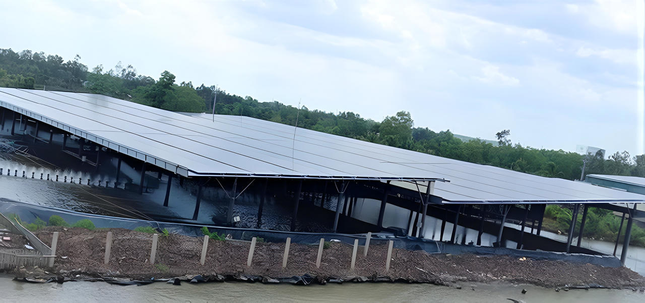 Cà Mau bứt phá trong phát triển năng lượng tái tạo