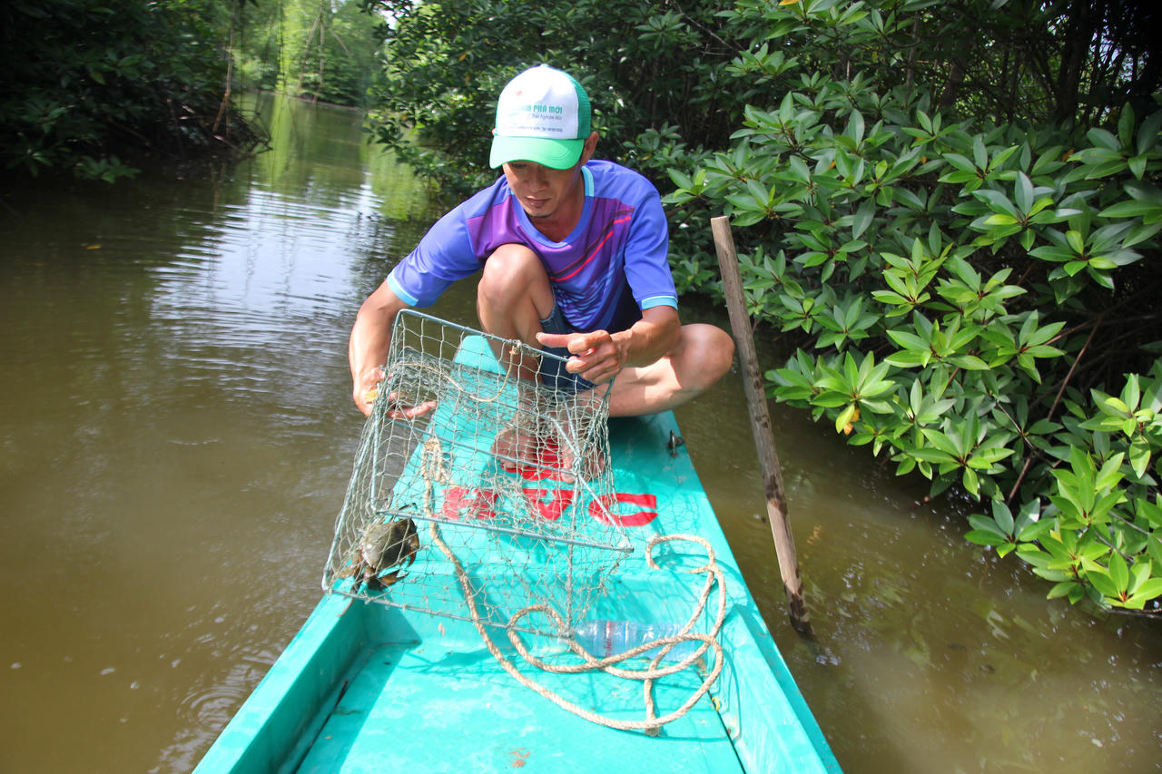 Phát triển bền vững nghề cua, nâng tầm đặc sản Cà Mau cả trong và ngoài nước