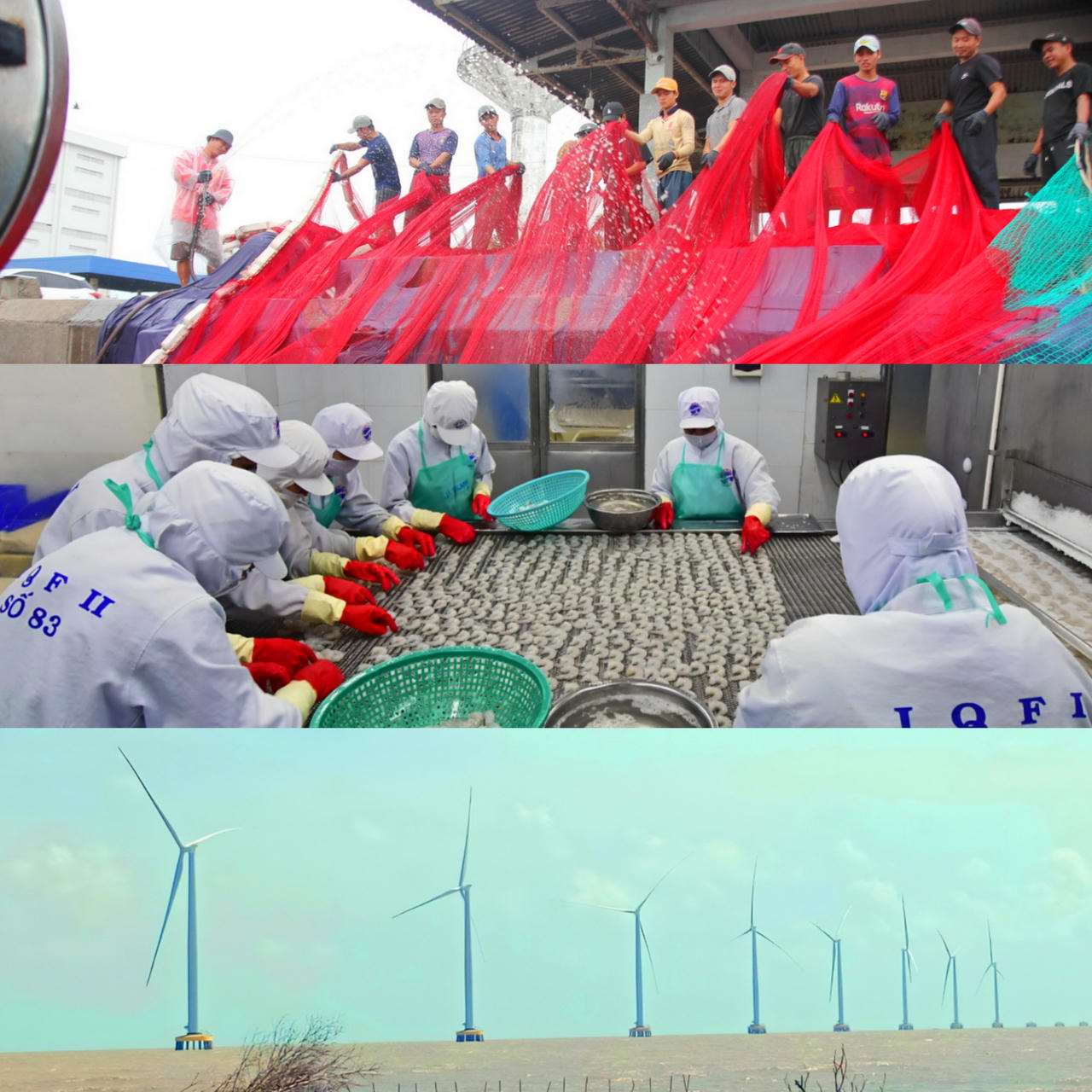 Xây dựng Cà Mau thành trung tâm kinh tế biển, chế biến thủy sản và năng lượng tái tạo 